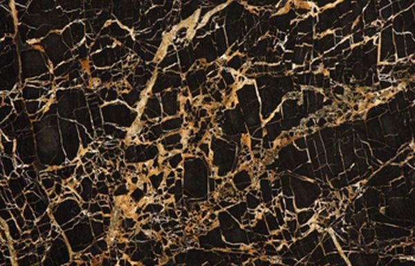 Gruppo Ceramico Cantoia, Novara - PIETRE E MARMI: PORTORO GOLD
